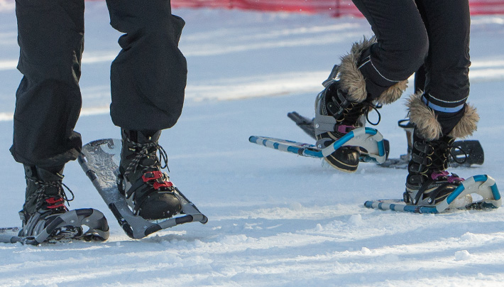 Snowshoe