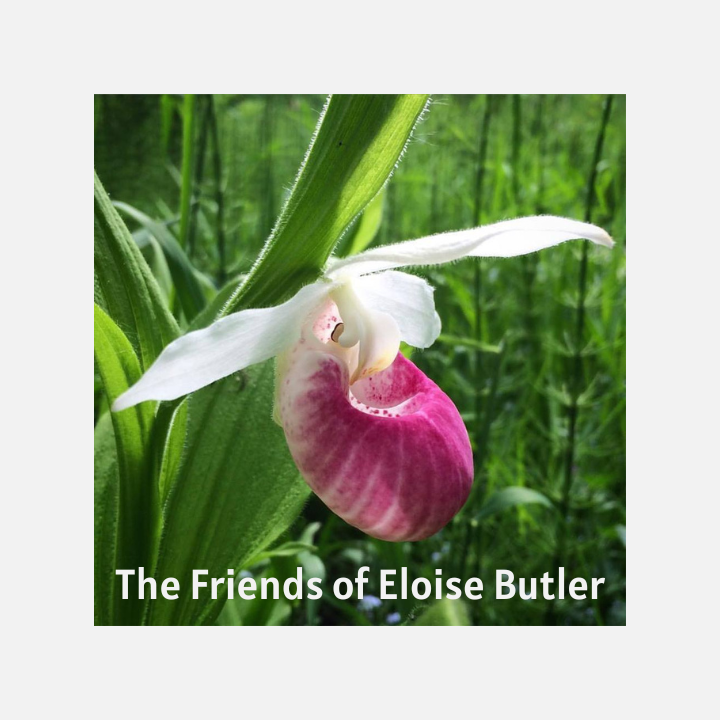 Friends of Eloise Bulter Flower Garden