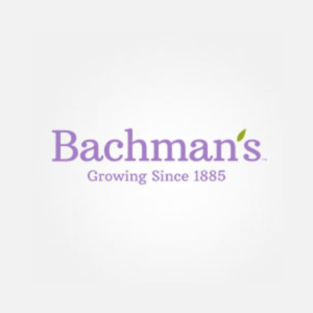 Bachman’s